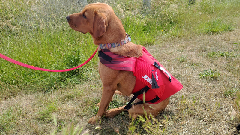 JOBE Pet Life Vest - Red - Size L
