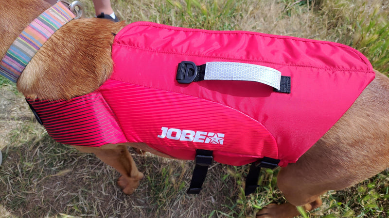 JOBE Pet Life Vest - Red - XL